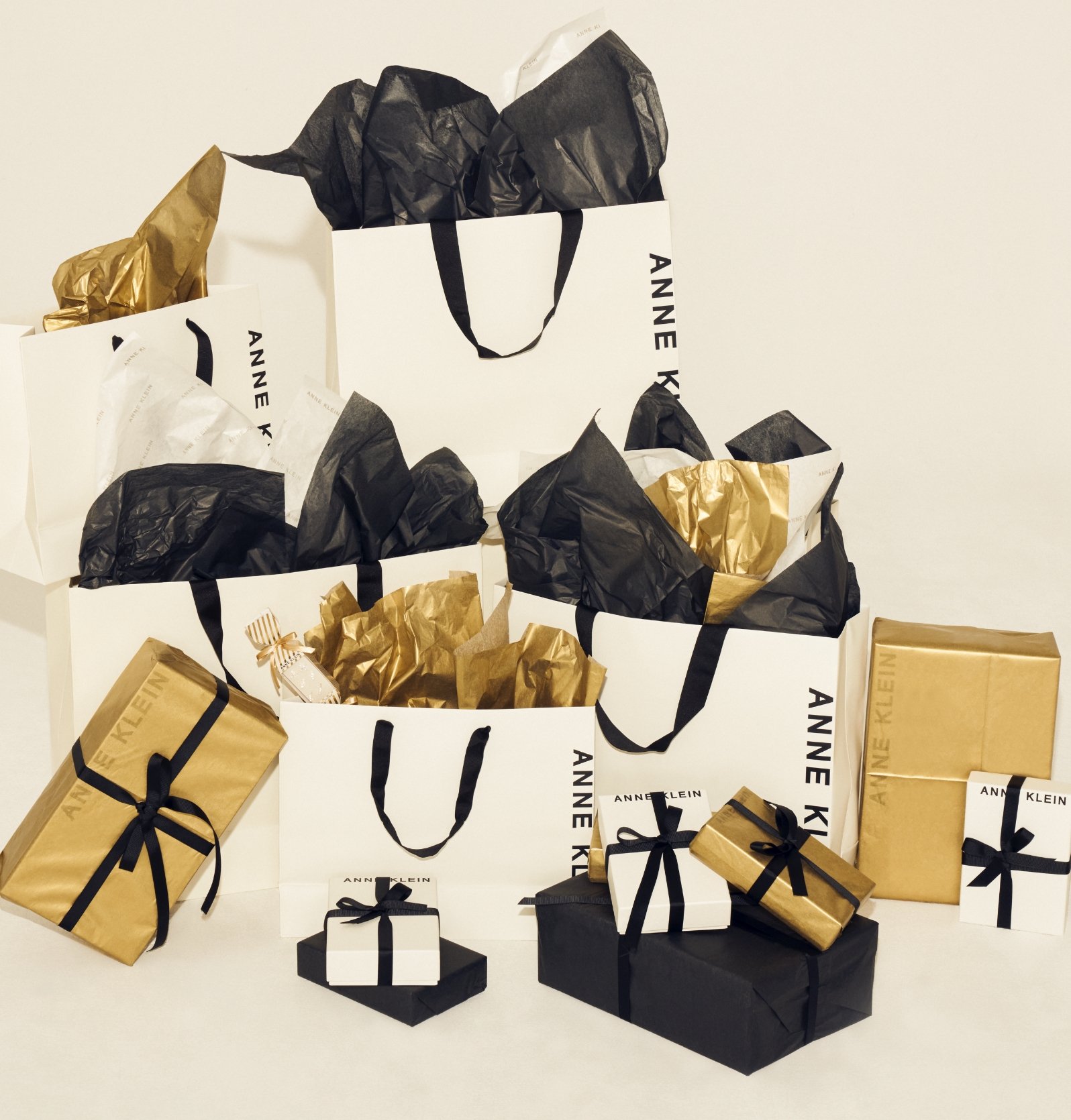 Anne Klein shopping bags and gift boxes
